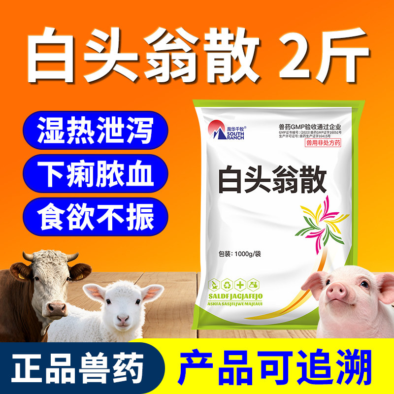 兽药白头翁散兽用猪牛羊鸡禽药中药粉清热解毒口服液凉血止痢疾停
