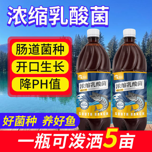 南华千牧降低ph值乳酸菌原种