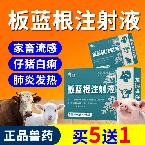 南华千牧板蓝根注射用液兽用兽药