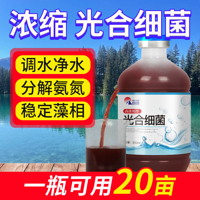 光合细菌菌剂原液水产养殖鱼虾蟹塘光合菌种培养基扩繁降ph值氨氮