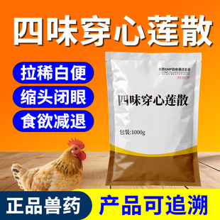 兽药四味穿心莲散兽用猪牛羊鸡鸭鹅拉稀肠炎白痢腹泻中药清热解毒