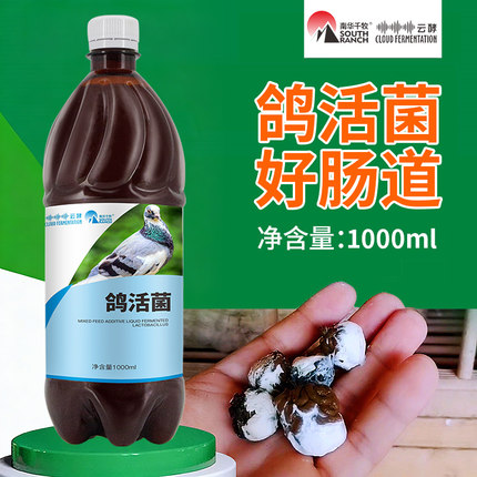 活菌王鸽用益生菌液赛鸽信鸽家用养殖鹦鹉鸡鸭鸽子用品大全鸽活菌