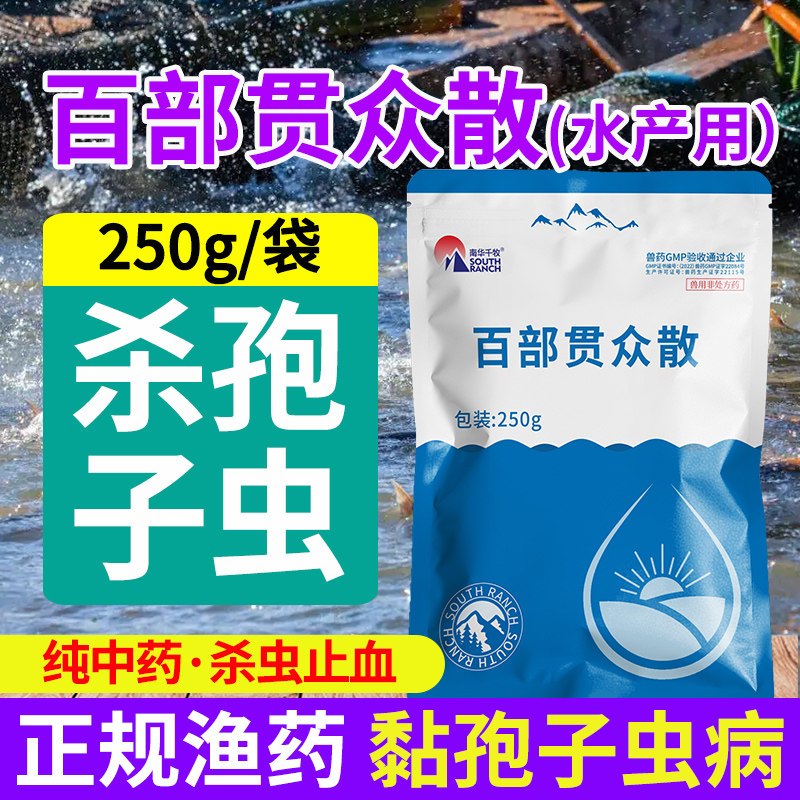 百部贯众散水产养殖专用孢虫清鲤鲫鱼杀黏孢子虫病止血纯中药鱼药