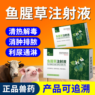 鱼腥草注射用液兽用牛羊痢疾停母猪产后康清热利尿消炎药头孢针剂
