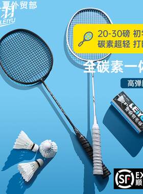 Allcarbonultralightbadminton