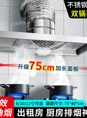 双锅可用出租房简易抽油烟机厨房排气扇家用大吸力换气扇强抽风机