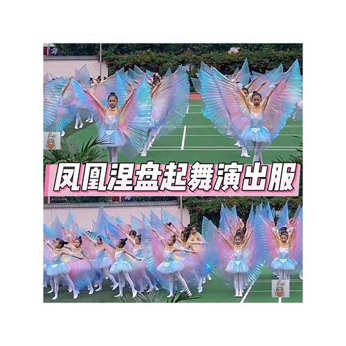 凤凰涅槃带翅膀的演出服