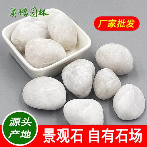 白色鹅卵石铺路装饰玩耍用小石子自然雨花石