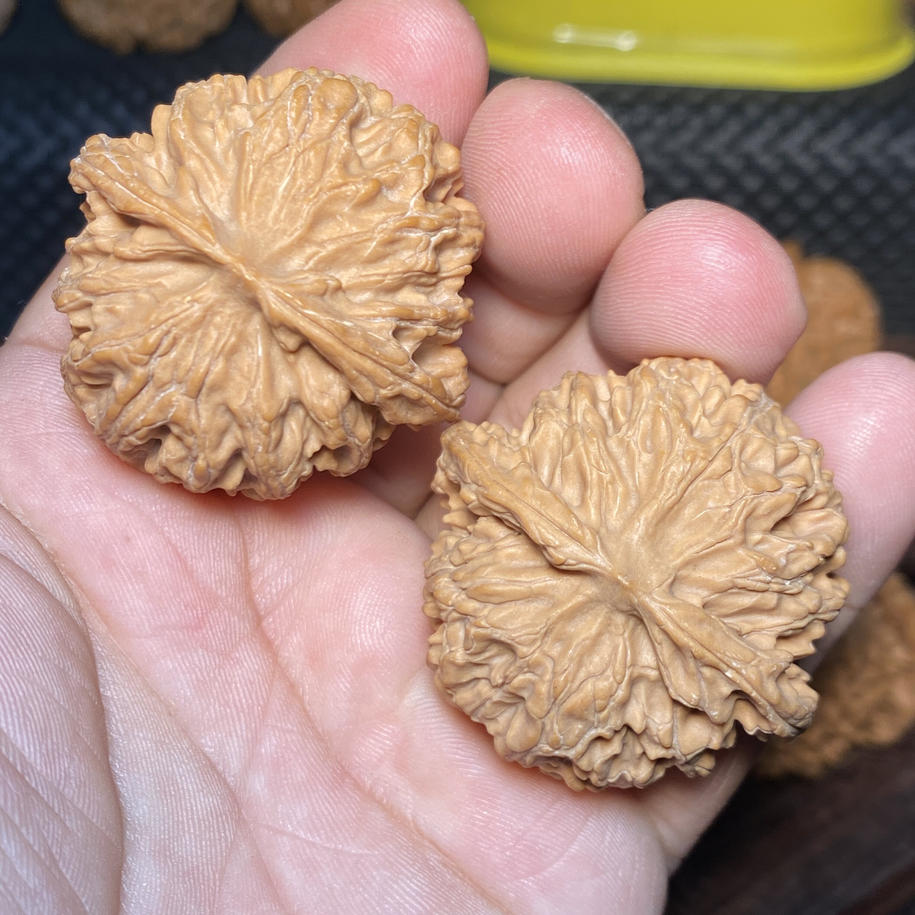 文玩核桃一物一图苹果园狮子头肉球形荔枝纹后期珊瑚红老年保健球