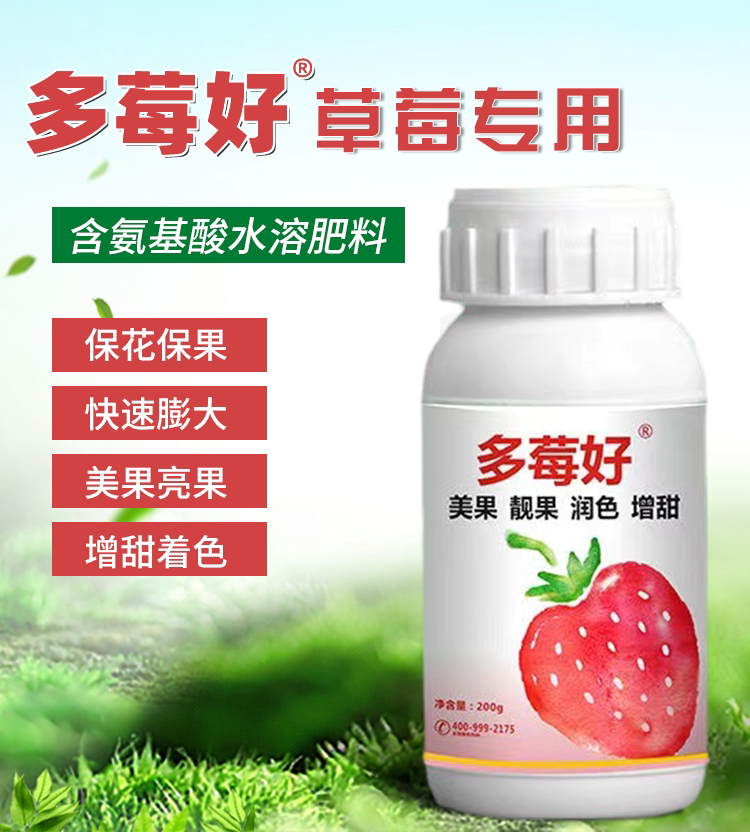 多莓好草莓专用膨大素润色拉长不空心膨大剂心尔草莓膨大包邮