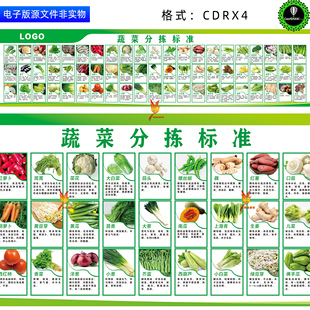 4D厨房蔬菜原材料验收标准展板挂图蔬菜分拣选购标准宣传栏素材