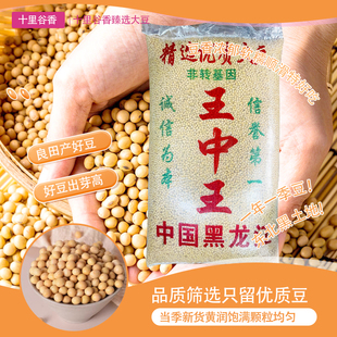 25年新豆商用非转基因豆制品专用包装 随机东北黑龙江中小黄豆47斤