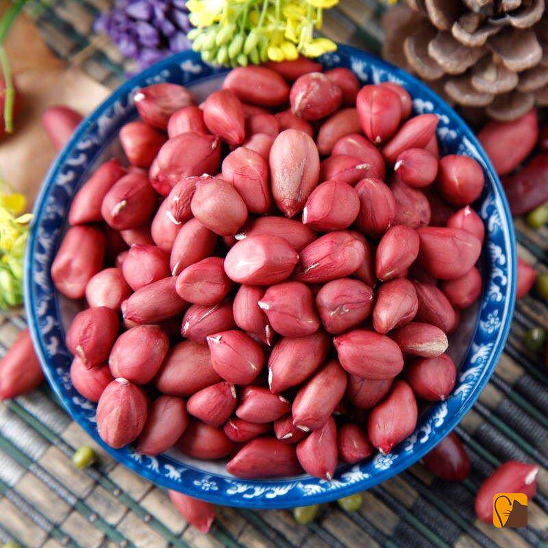 红生皮花米13斤/斤/5斤/8ixb���粒生花斤生四粒红小花生红衣花生米