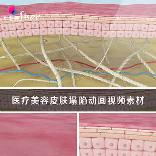 医疗美容皮肤塌陷动画视频素材神经细胞网状纤维老化胶原蛋白流失