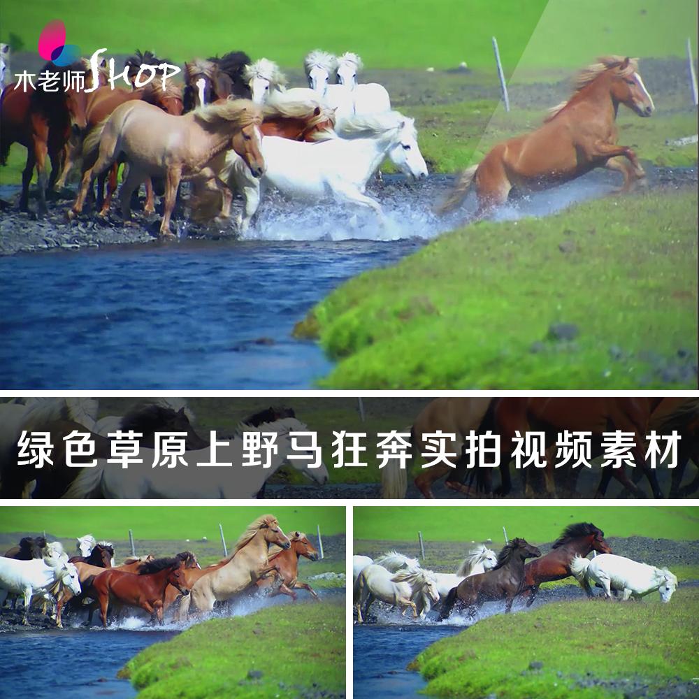 绿色草原野马狂奔实拍视频素材马儿奔跑跨过小溪万马奔腾骏马奔驰