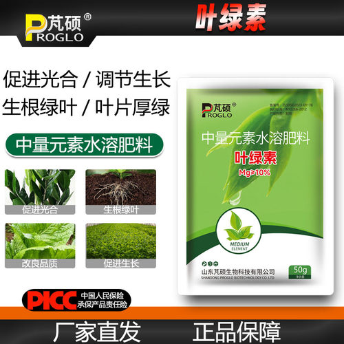 叶绿素中微量水溶叶面肥增绿生根