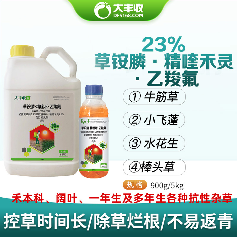 大丰收草铵膦乙羧氟草醚精喹禾灵