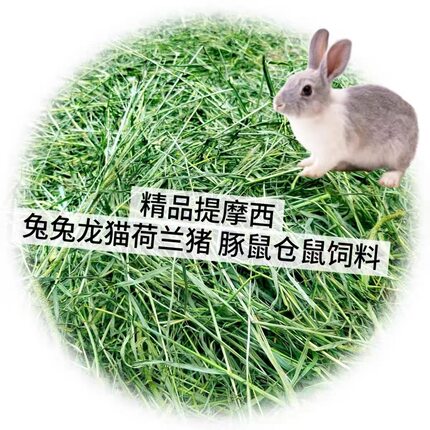 2026新款上市优质天然头茬新草清香晒干提摩西草龙猫豚鼠兔粮干草