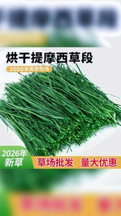 26年烘干提摩西草段高纤维荷兰猪龙猫兔子草料宠物兔口粮摩西提草