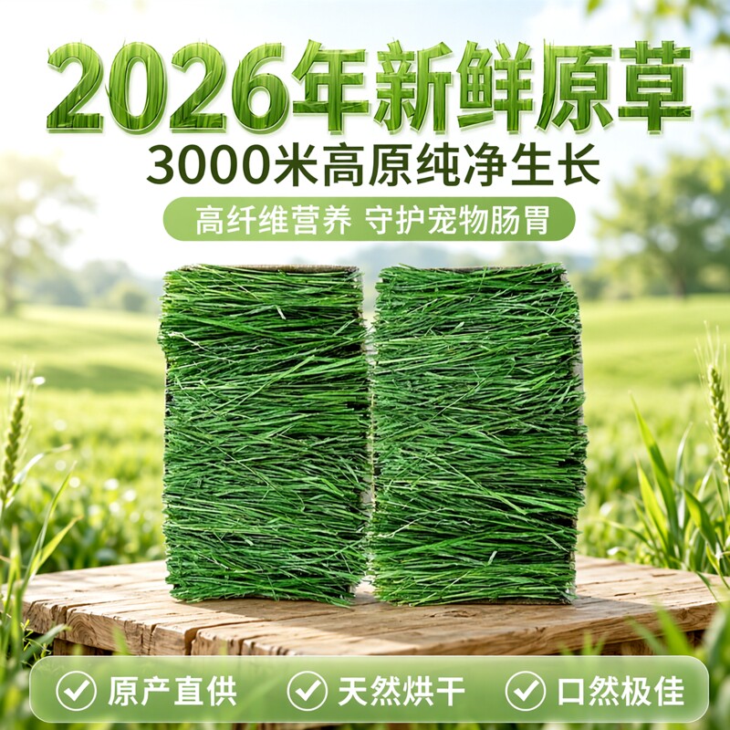 26年烘干提摩西草段岷县北提龙猫