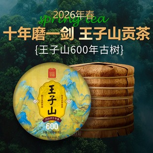 2026春茶预售 云南普洱茶生茶饼曼松王子山600年357克 皇家茶园