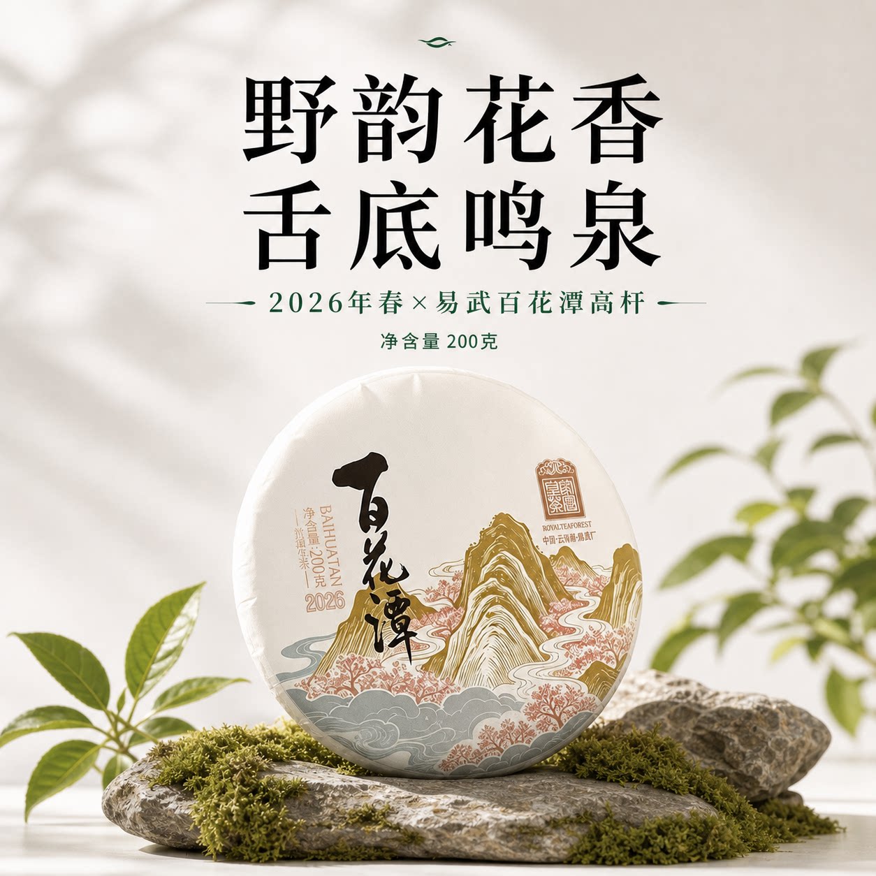 百花潭 2026春茶预售易武百普洱