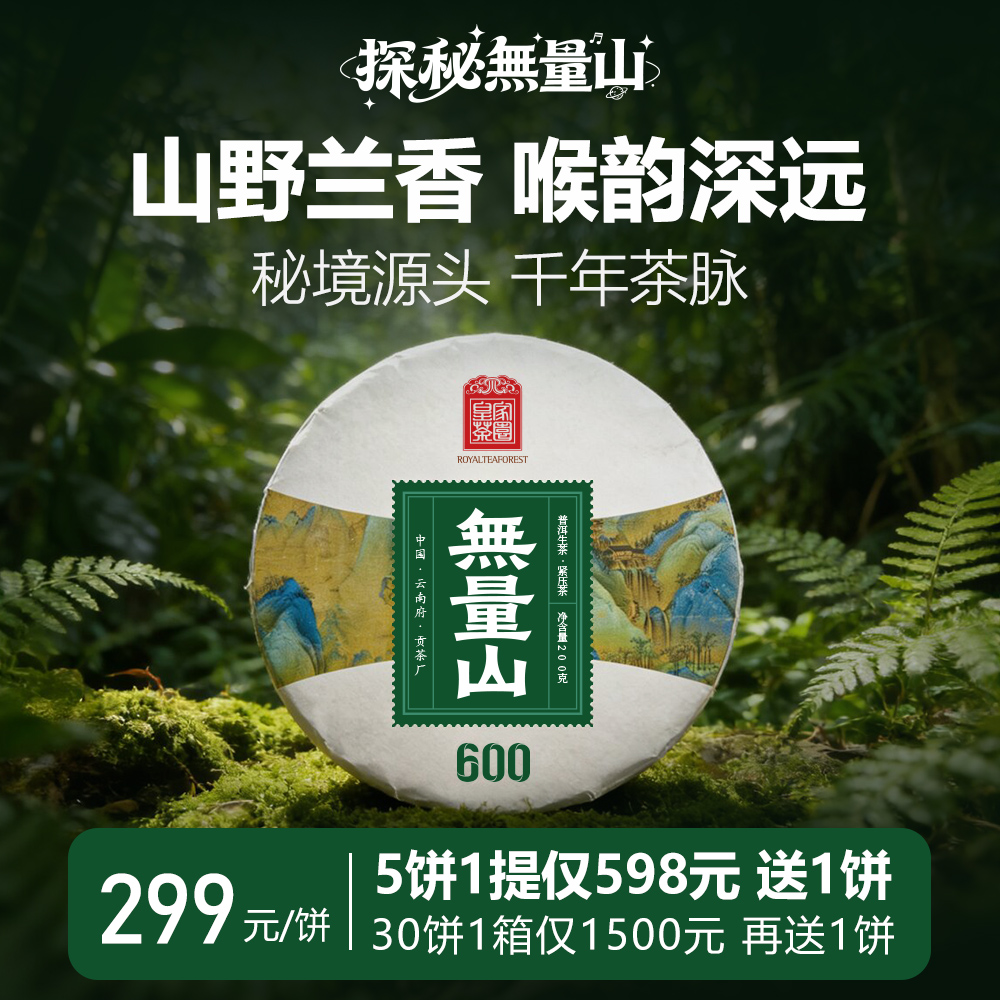 无量山600 云南普洱茶生茶饼大理无量山600年古树2025春 200克