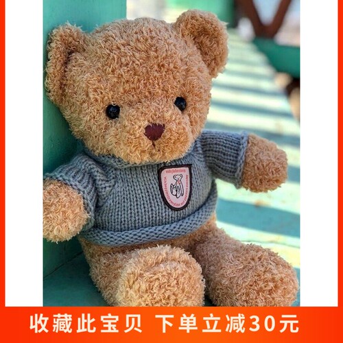 玩具熊泰迪熊玩偶抱抱熊娃娃PP棉