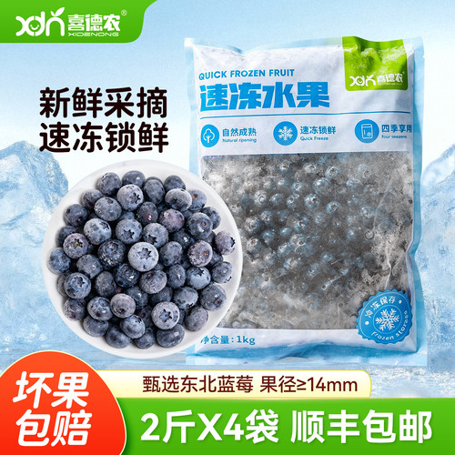 冷冻水果蓝莓喜德农果汁果酱原料