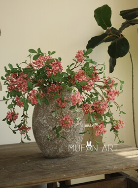 5头蓝雾花室内植物田园风