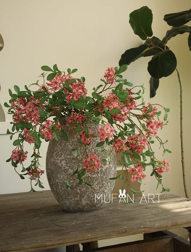 5头蓝雾花室内植物田园风