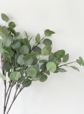 ins灰色调圆叶尤加利植物叶子花瓶花器花束装饰配草