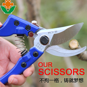 优质精钢园林工具花剪刀修剪树枝果树剪子粗枝剪果修枝剪园艺剪刀