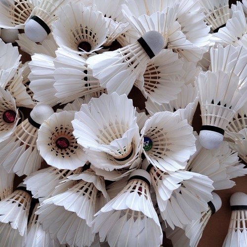 品牌球为主，性价比高