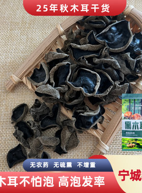 秋木耳内蒙古木耳宁城黑里河木耳赤峰特产高泡发木耳