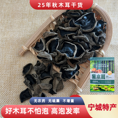 秋木耳内蒙古木耳宁城黑里河木耳赤峰特产高泡发木耳