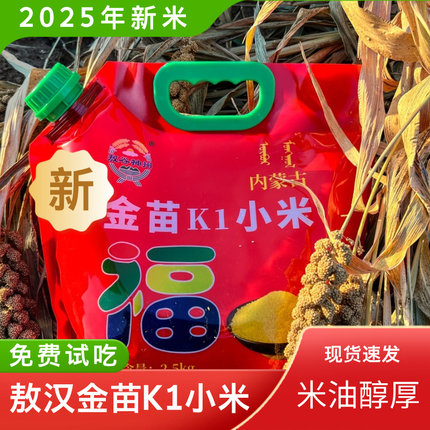 赤峰敖汉小米金苗K1小米内蒙古赤峰黄小米杂粮