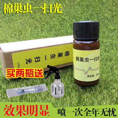 新品蜂药棉巢虫一扫光灭杀虫药养