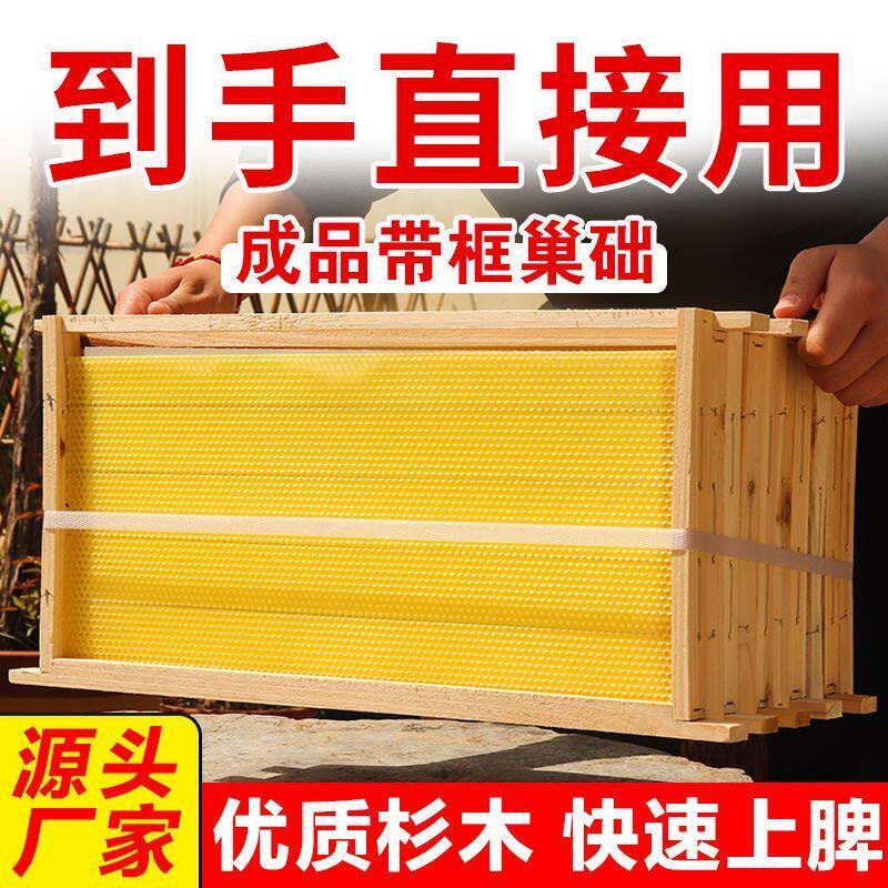 成品标准尺寸巢框带巢础中意蜂通用杉木带框巢础蜜蜂巢脾养蜂工具