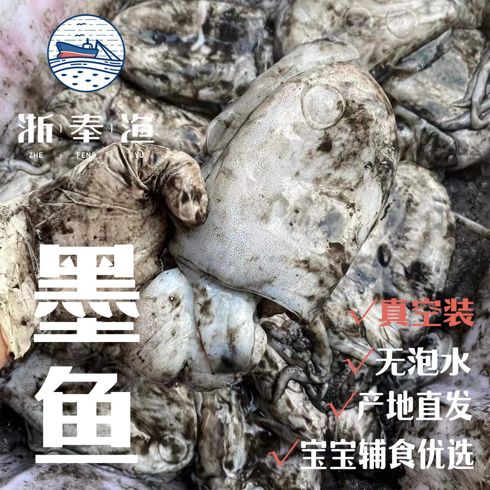 浙奉渔原汁原味大墨鱼，宁波特产