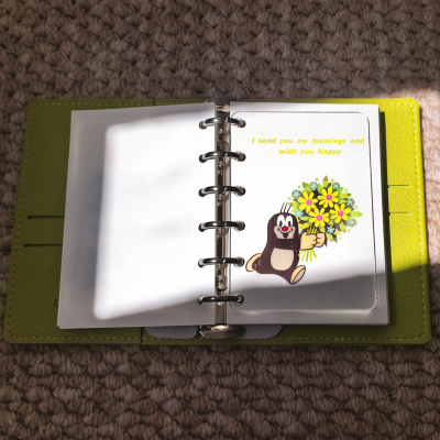 鼹鼠插画透明亚克力分隔页垫板