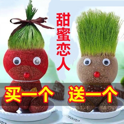 草头娃娃小盆栽浇水植物玩偶可爱