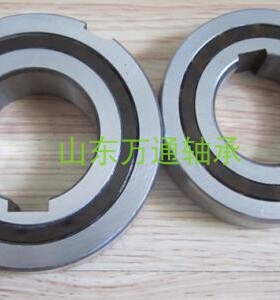 单向轴承 CSK12PP CSK15 CSK17 CSK20 CSK25 CSK30 CSK35 CSK40