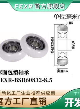 FEXR圆弧R型球面包塑轴承BSR60832-8.5家具展柜小滑轮移门窗滚轮
