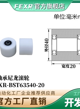 双轴承BST63540-20加宽POM滚轮塑料胶套尼龙包塑加厚输送带滑轮