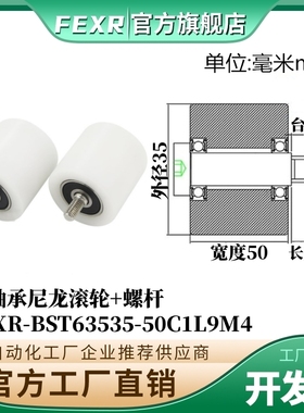 BST63535-50C1L9M4不锈钢螺杆输送带专用塑料滚轮POM滑轮尼龙轮