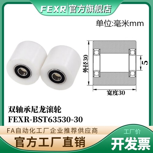 BST63530-30双轴承尼龙滚轮