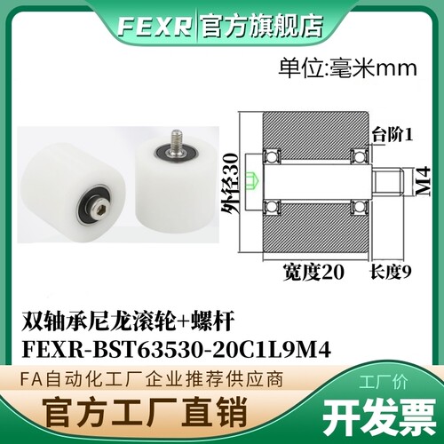 BST63530-20C1L9M4尼龙滚轮