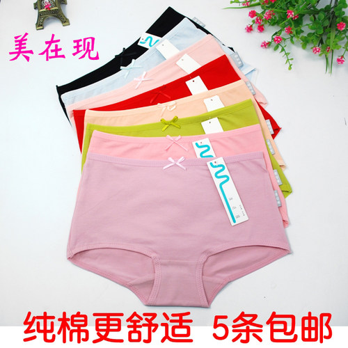 5条包邮美在现棉纯棉内裤