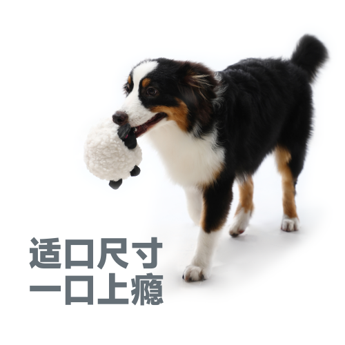飞奇fetch狗玩具耐咬发声中大型犬磨牙益智训练解闷自嗨宠物用品